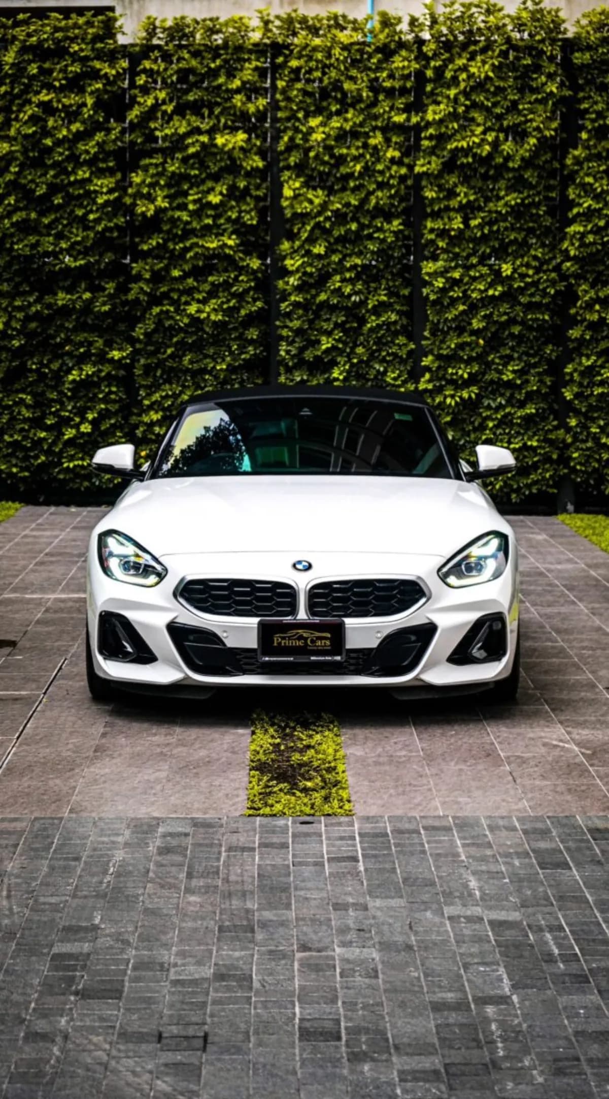 BMW Z4 30i (Синий)